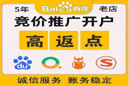 行业领先企业的SEM竞价推广策略揭秘